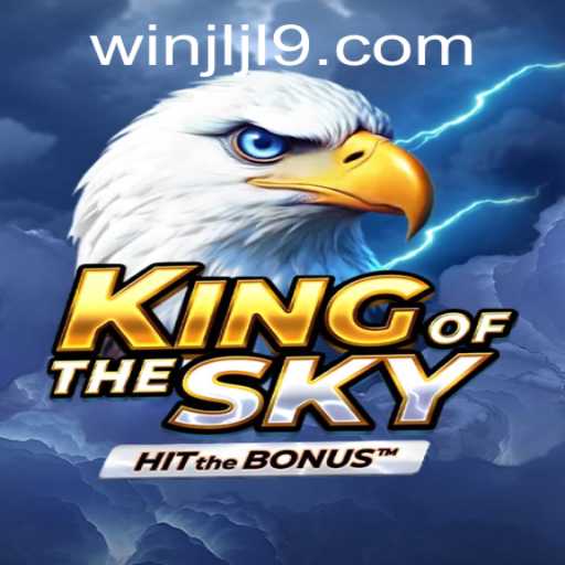 Mastering the Skies with KingOfTheSky